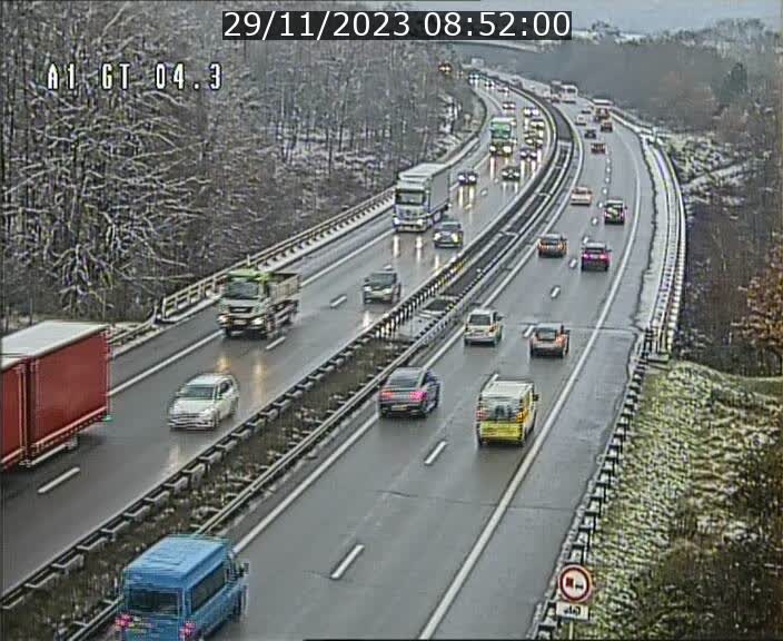 Json Uploaded Testing1