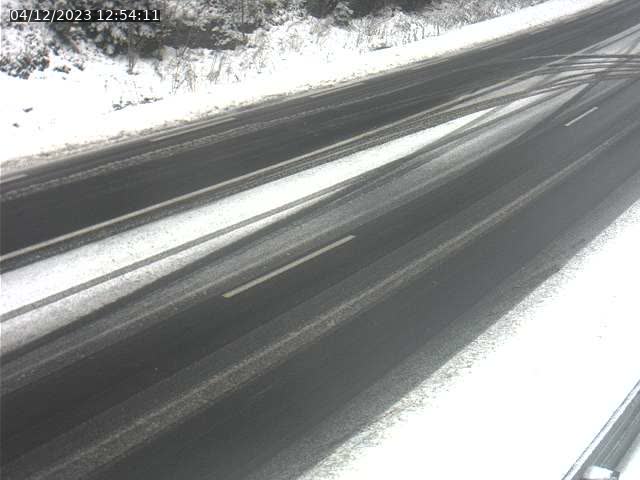 Json Uploaded Testing1