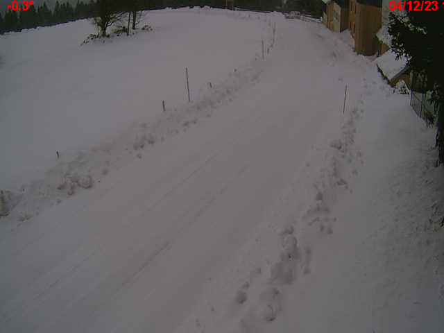 Json Uploaded Testing1