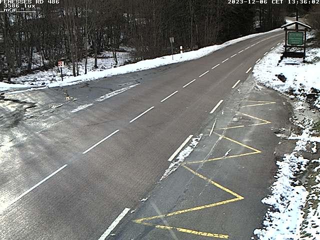 Json Uploaded Testing1