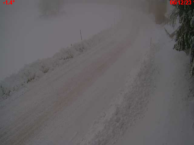 Json Uploaded Testing1