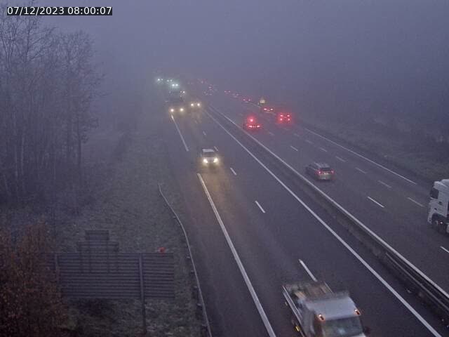 Json Uploaded Testing1