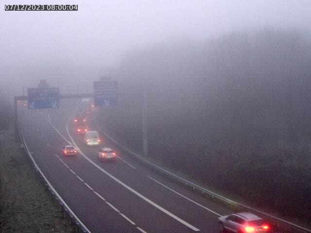 Json Uploaded Testing1