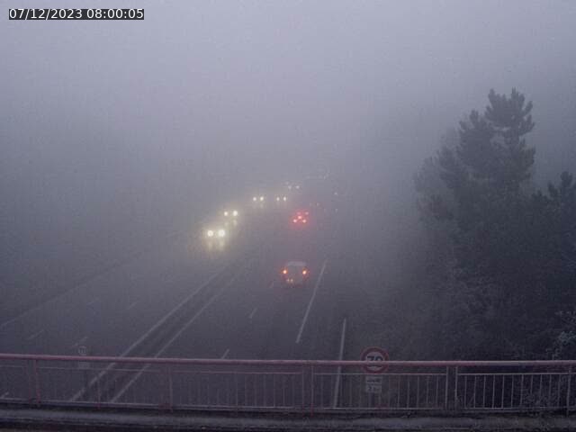 Json Uploaded Testing1