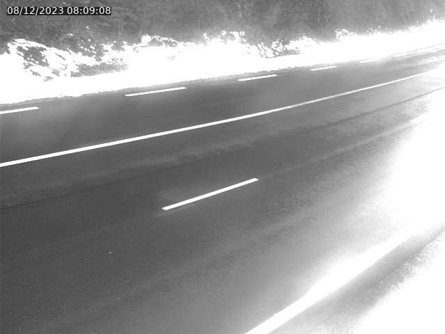 Json Uploaded Testing1