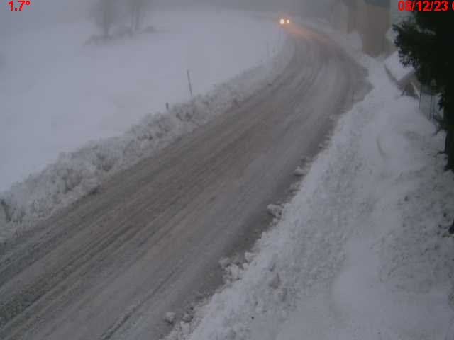 Json Uploaded Testing1