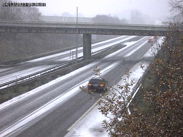 Json Uploaded Testing1