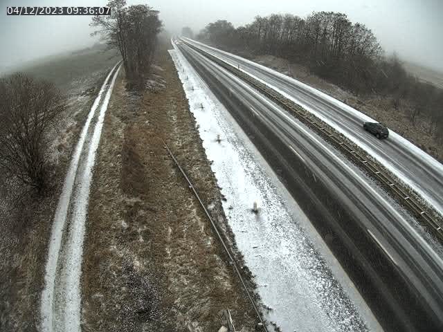 Json Uploaded Testing1