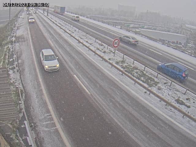 Json Uploaded Testing1