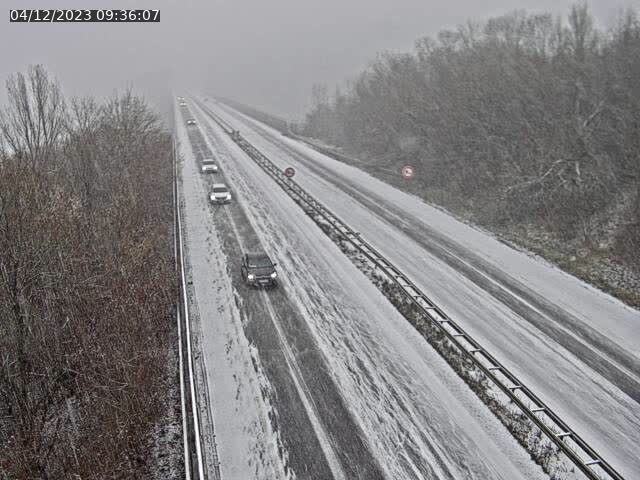 Json Uploaded Testing1