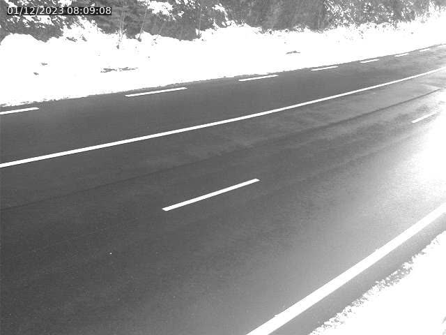 Json Uploaded Testing1