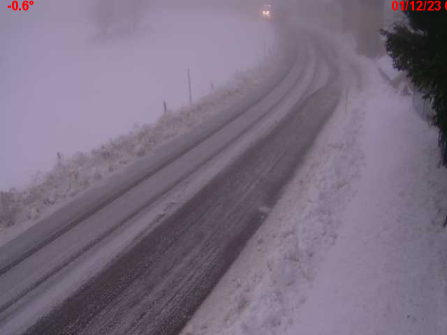 Json Uploaded Testing1