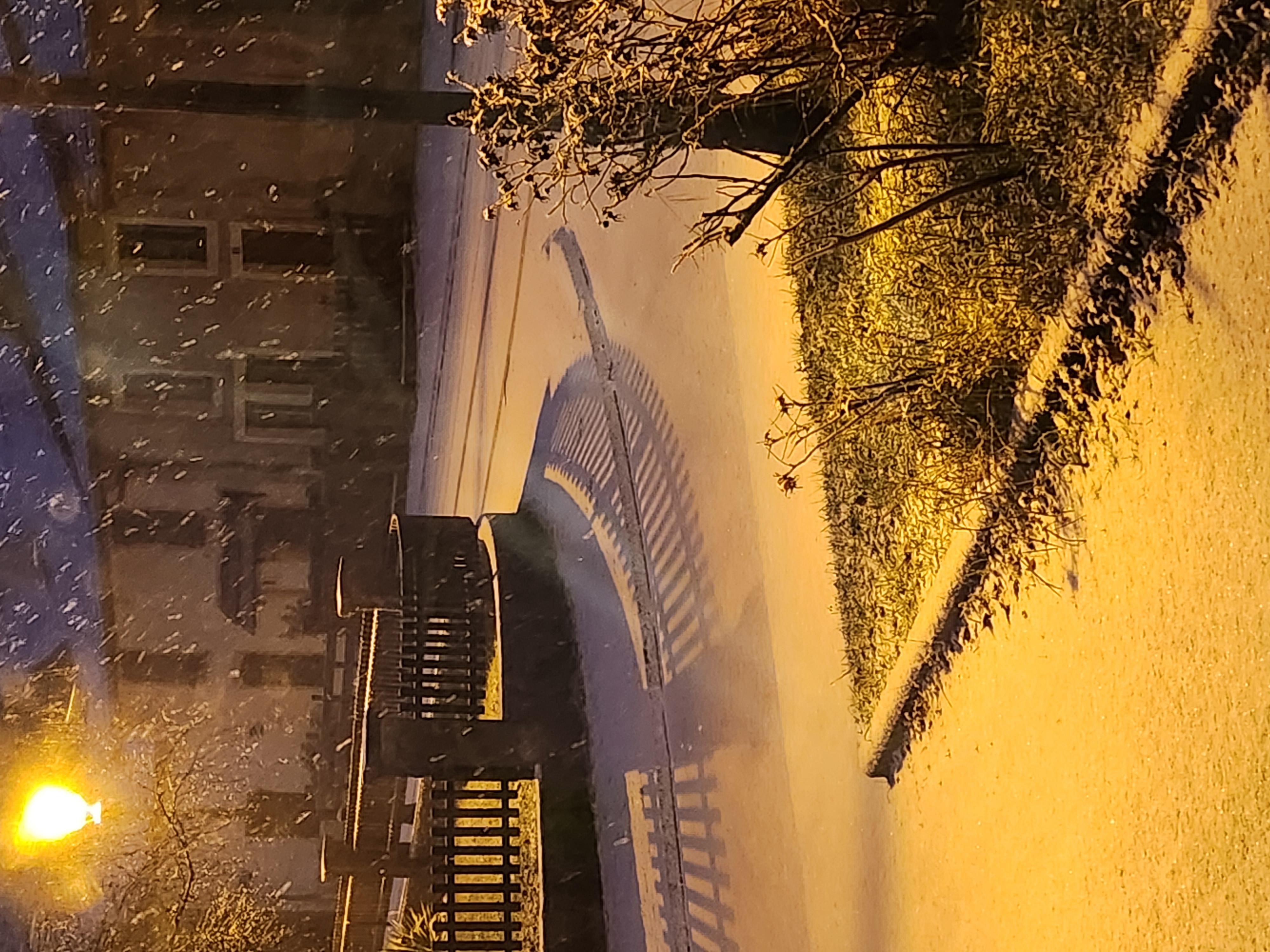 Neige modérée