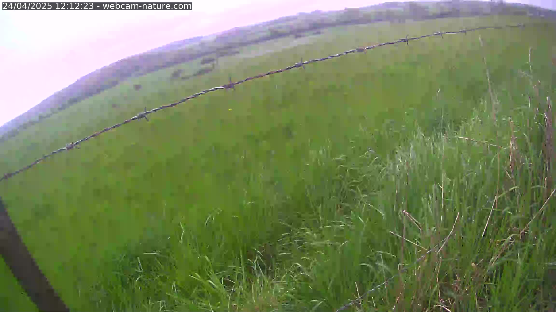 Webcam météo Luxembourg Webcam météo Luxembourg