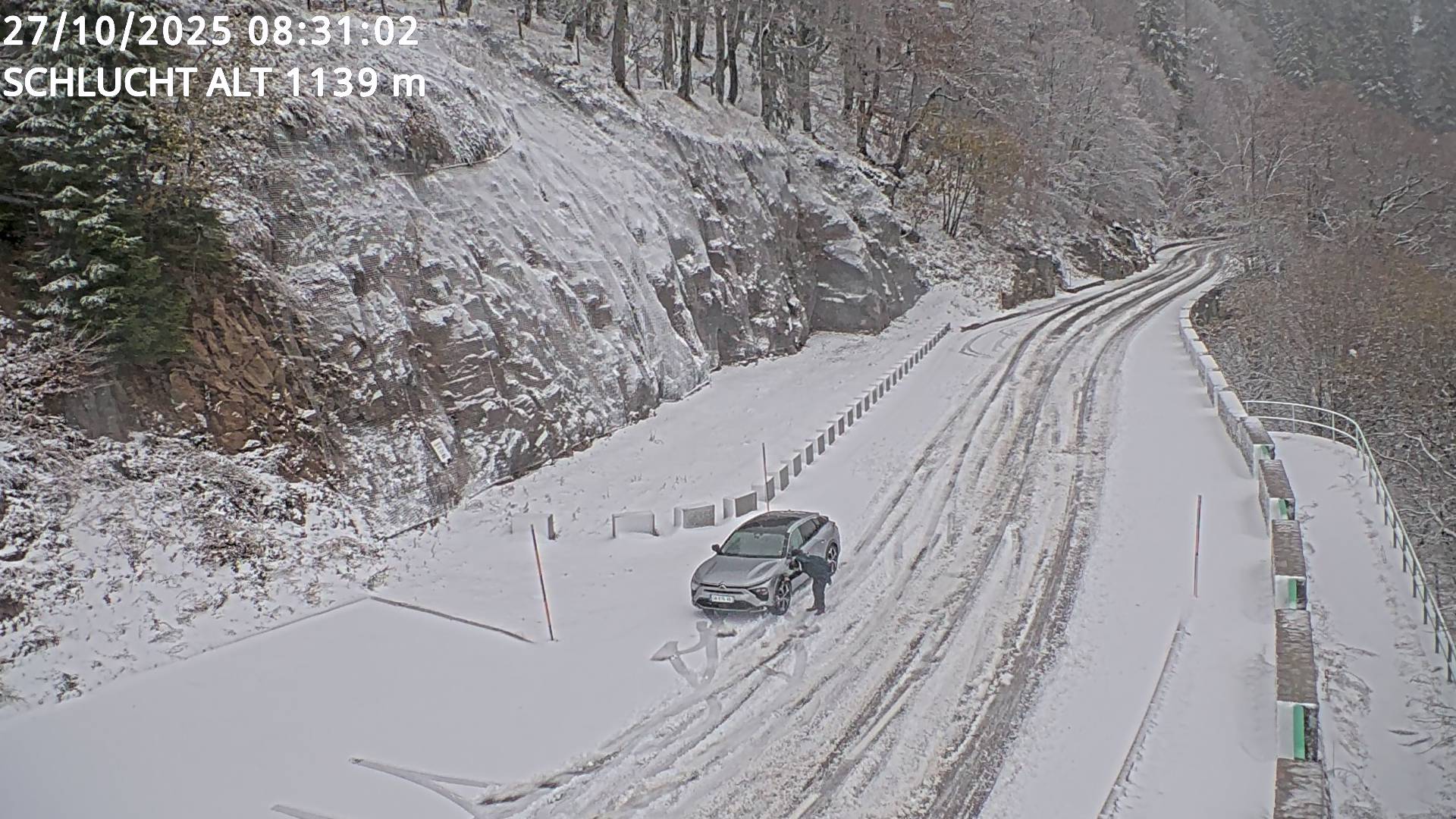 Json Uploaded Testing1