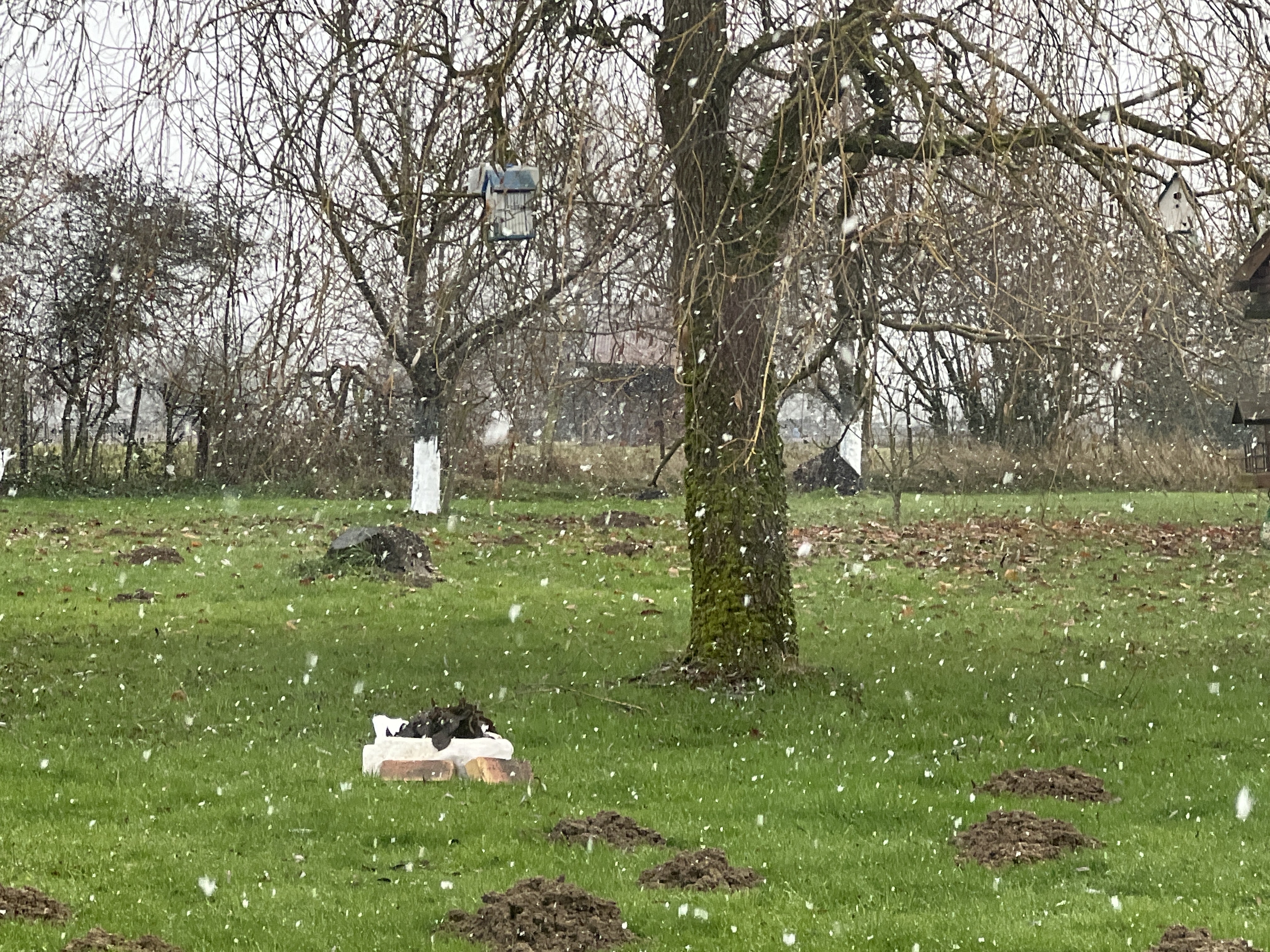 Webcam météo Luxembourg