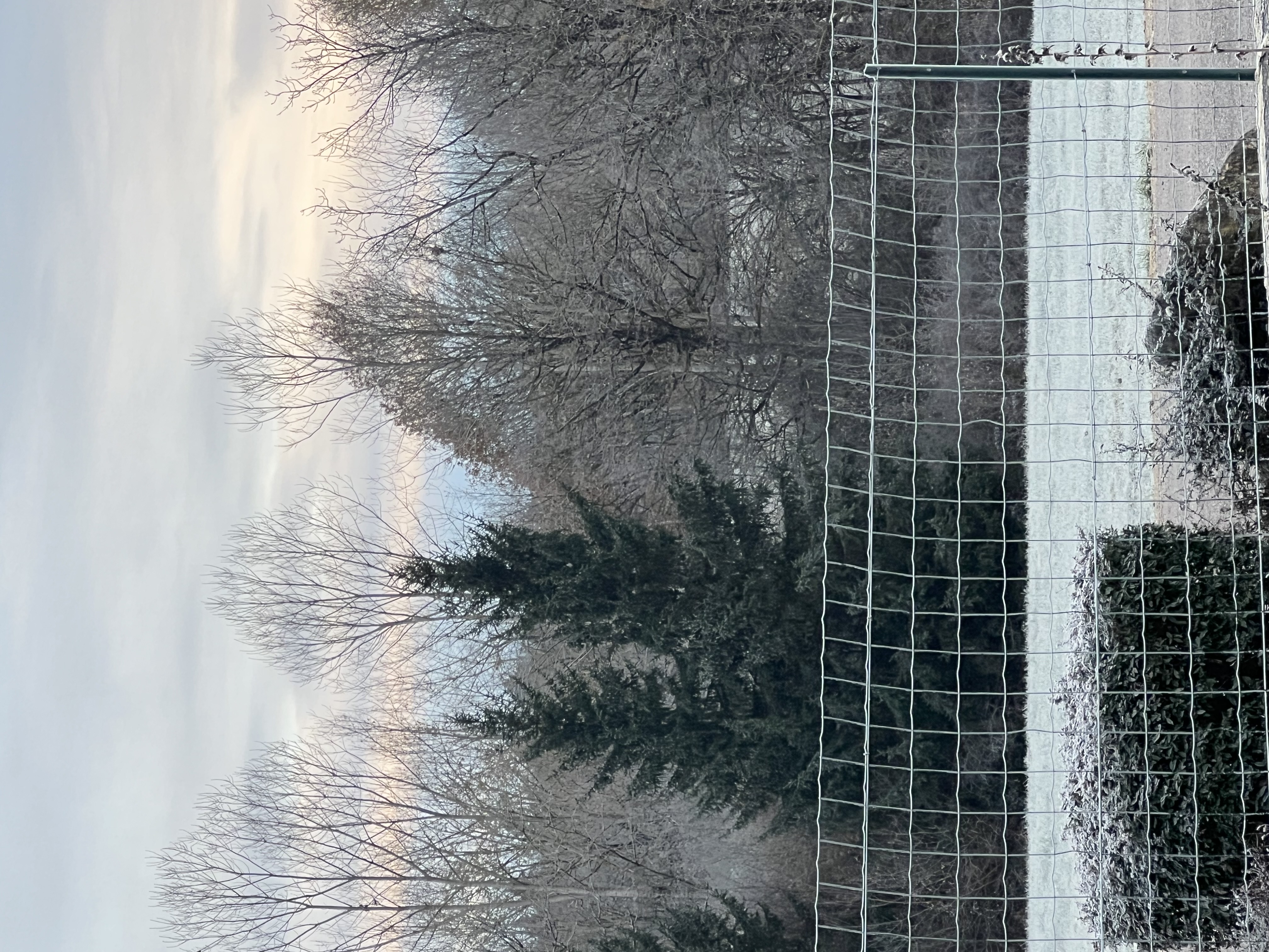 Webcam météo Luxembourg