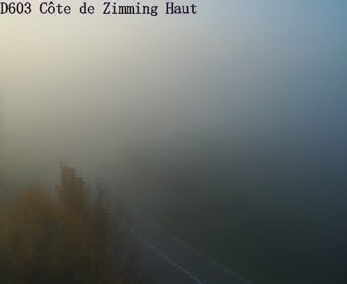 Json Uploaded Testing1