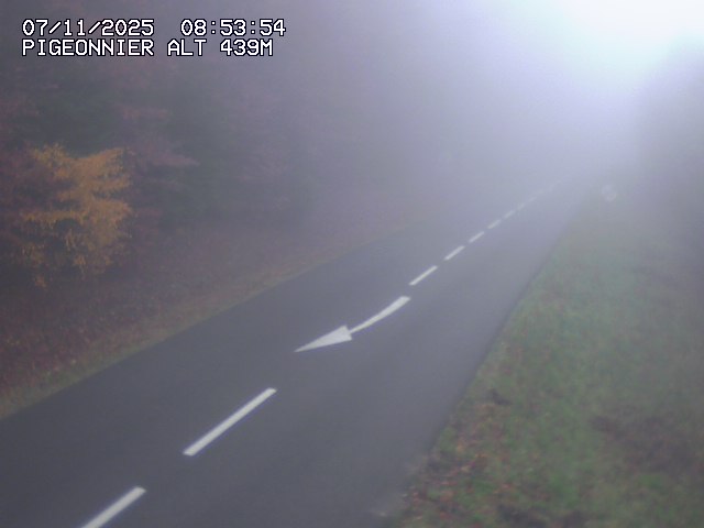 Json Uploaded Testing1