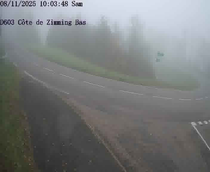 Json Uploaded Testing1