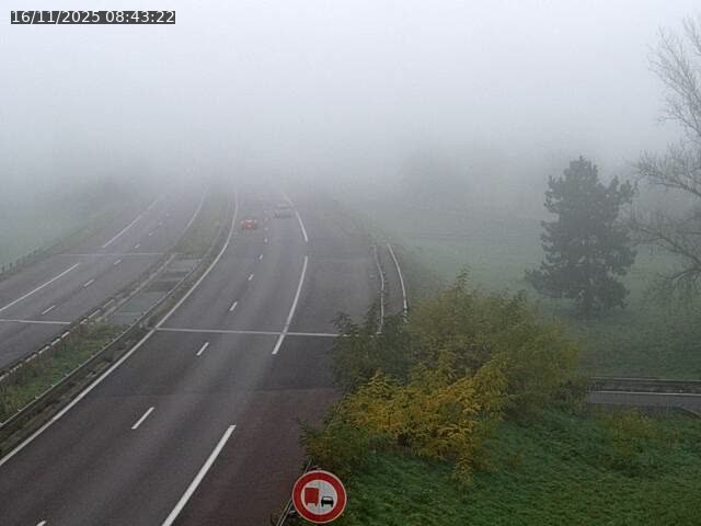 Json Uploaded Testing1