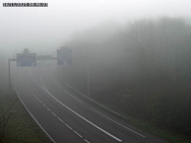 Json Uploaded Testing1