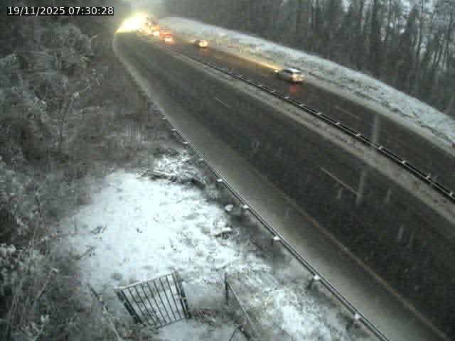 Json Uploaded Testing1