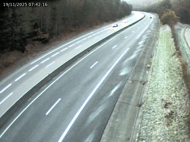 Json Uploaded Testing1