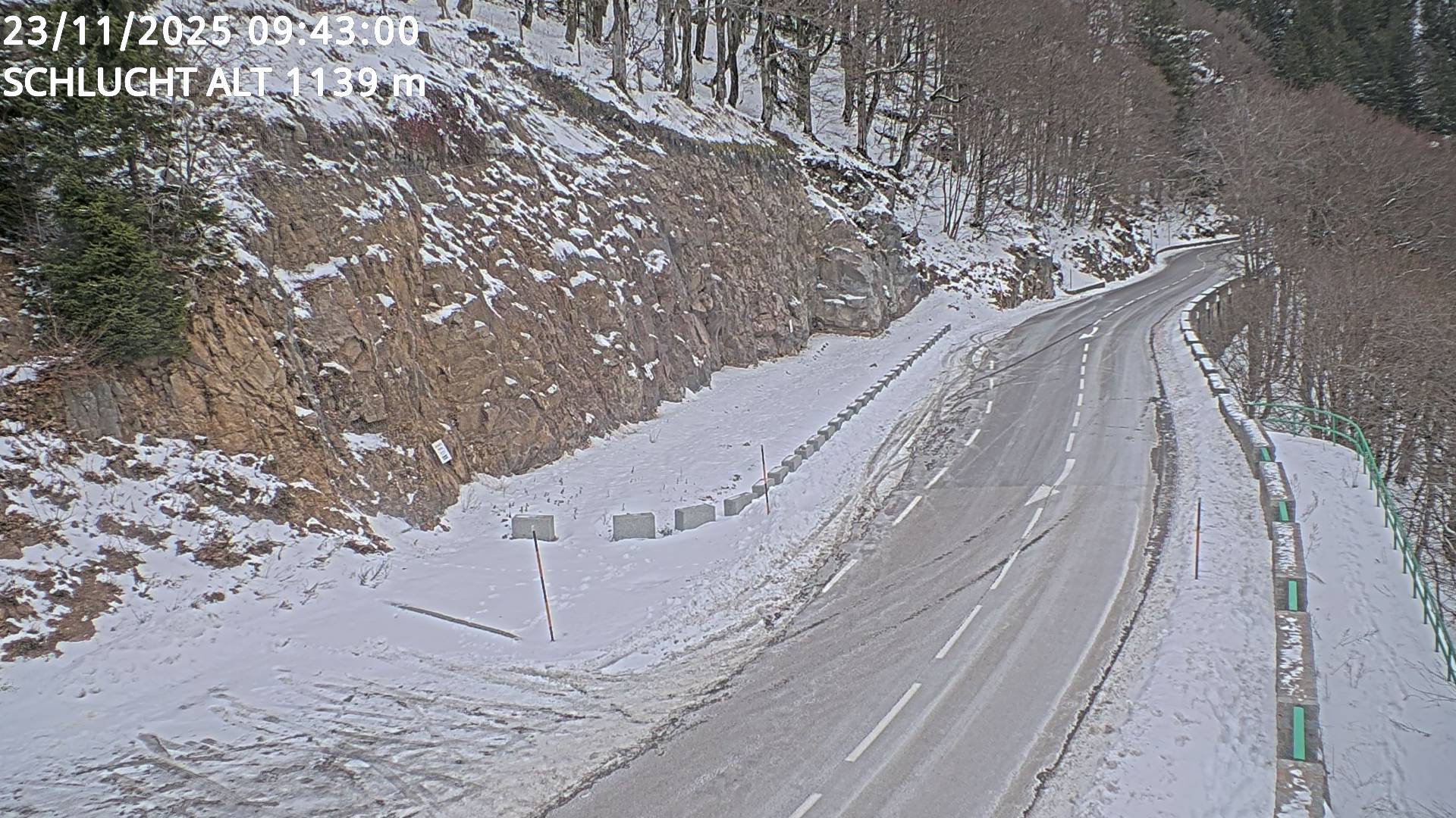 Json Uploaded Testing1