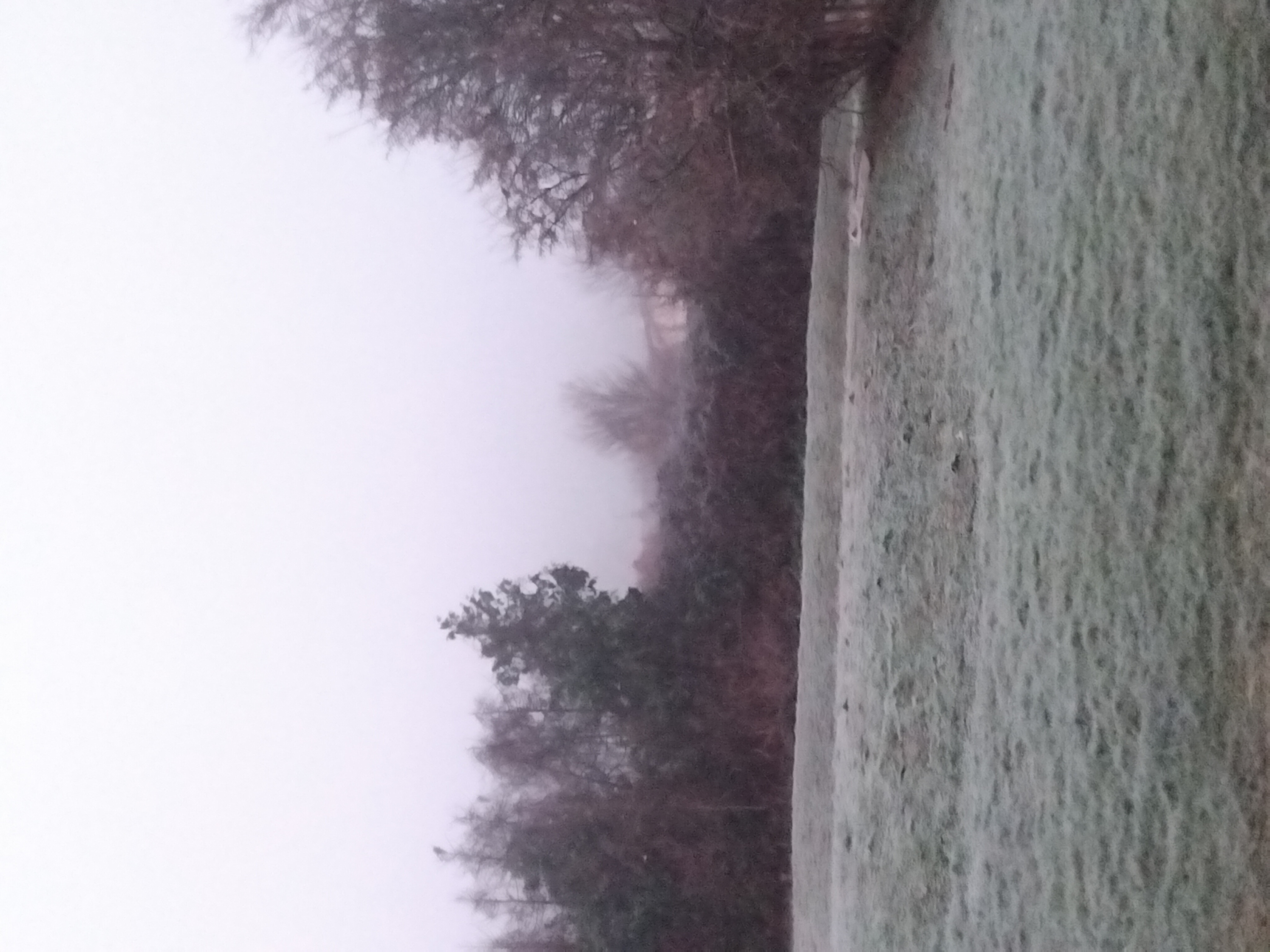 Image illustrant des conditions de Brouillard_epais