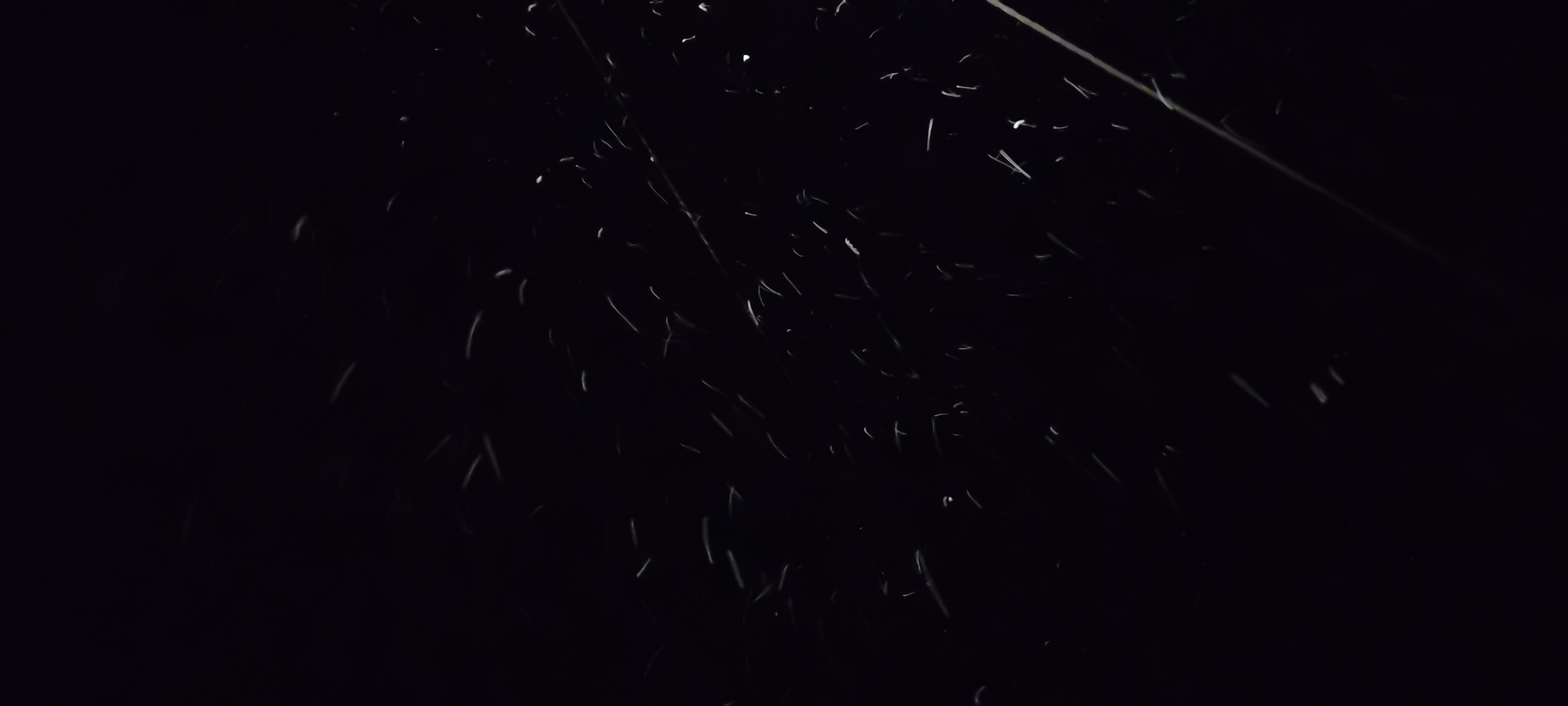 Image illustrant des conditions de Neige_faible_flocons