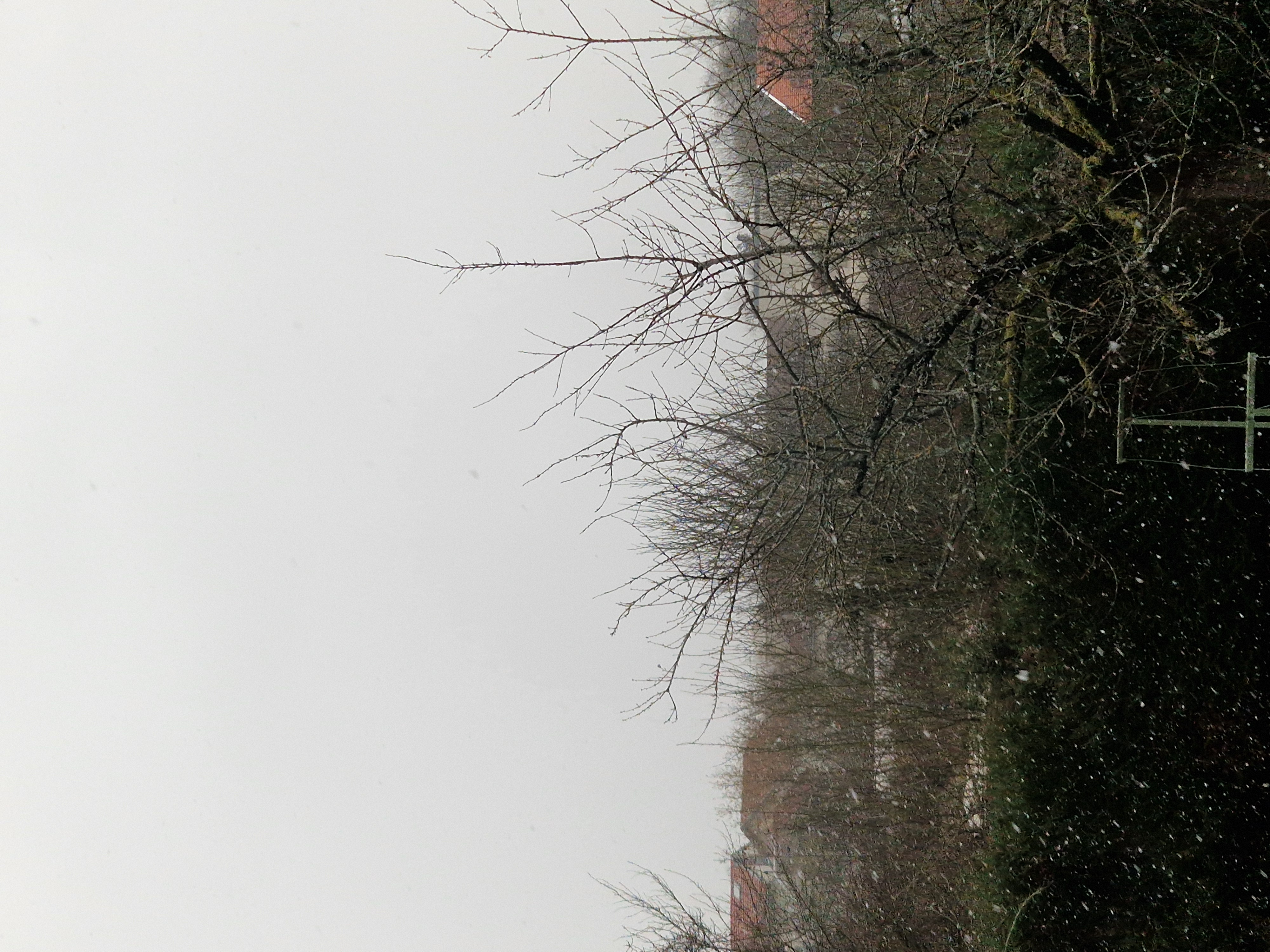 Image illustrant des conditions de Neige_faible_flocons