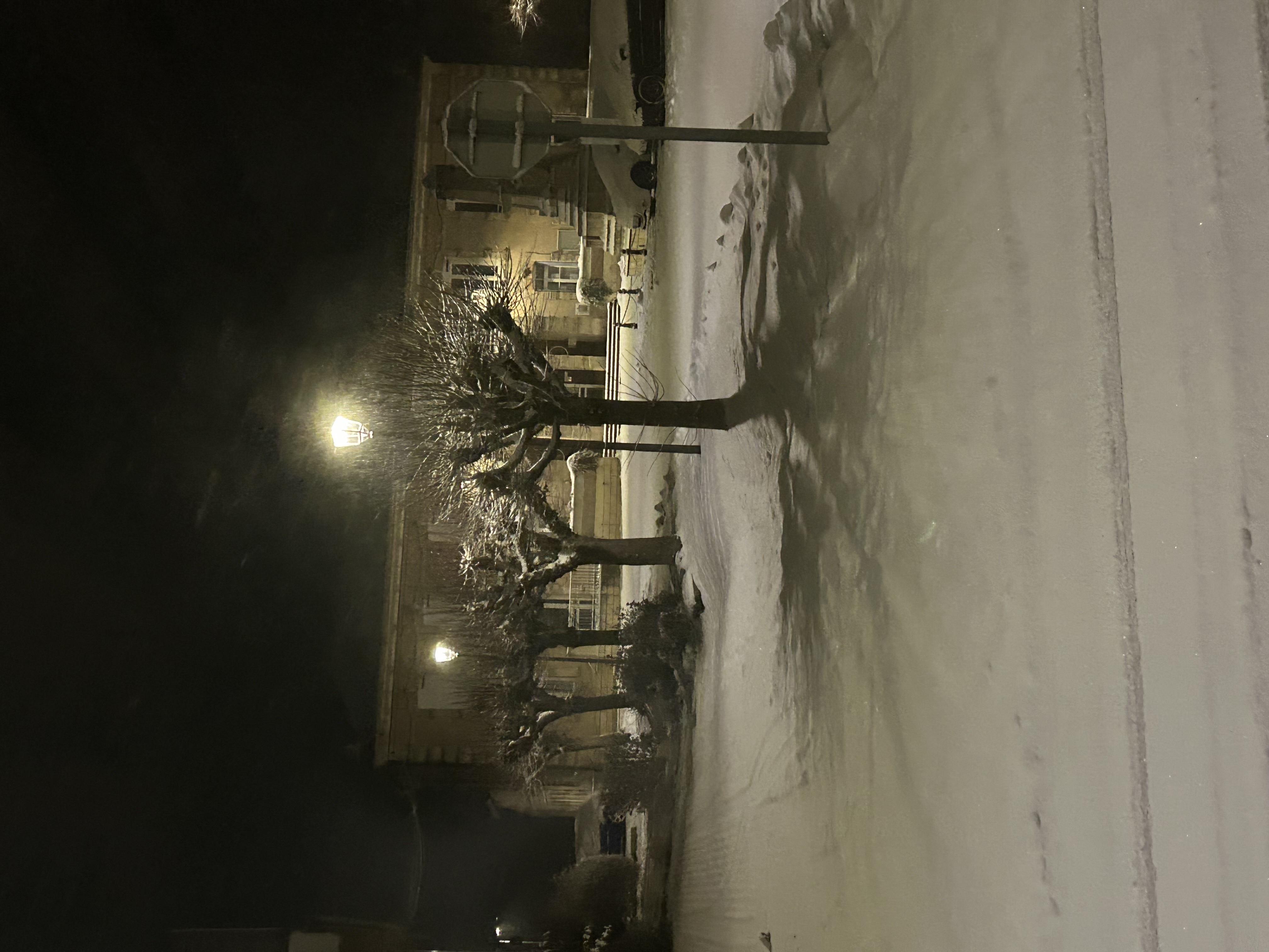 Image illustrant des conditions de Neige_modere_forte