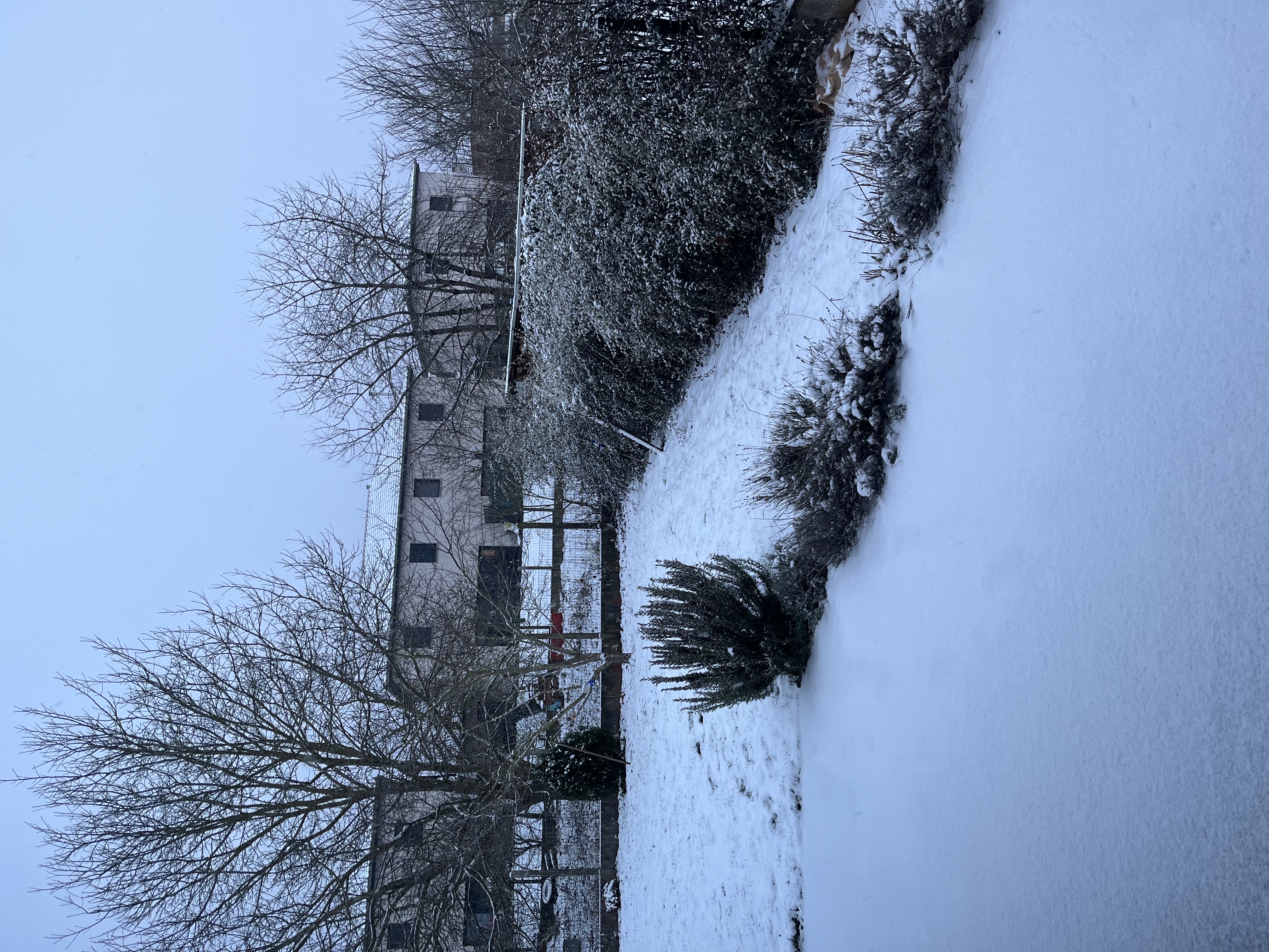 Image illustrant des conditions de Neige_modere_forte