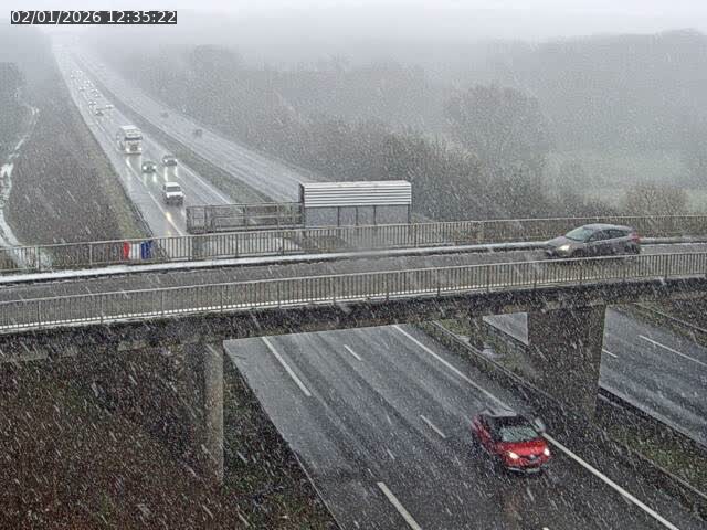 Json Uploaded Testing1