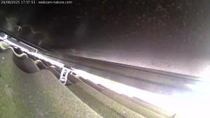 Webcam météo Luxembourg